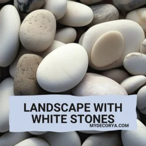 landscape-with-white-stones
