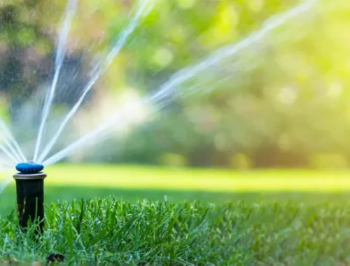 The Benefits of Installing a Sprinkler System for Homeowners