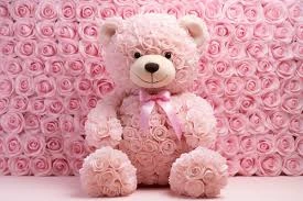 rose-bear