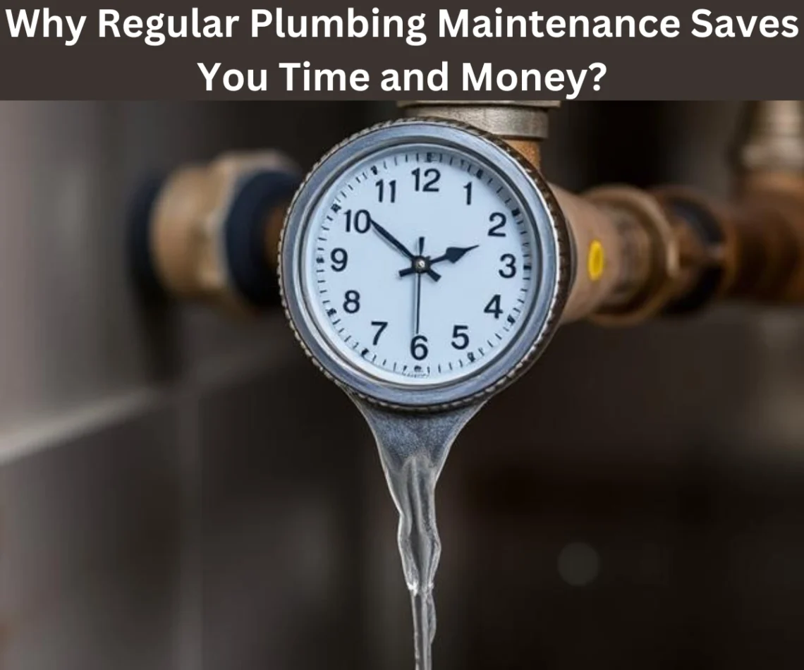 Why-Regular-Plumbing-Maintenance-Saves-You-Time-and-Money (1)