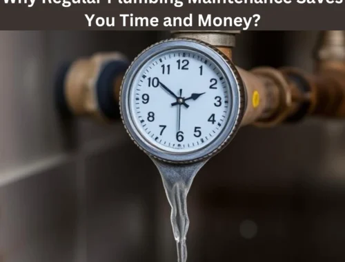 Why-Regular-Plumbing-Maintenance-Saves-You-Time-and-Money (1)