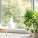 best-ways-to-improve-indoor-air-quality-as-seasons-change