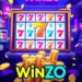 can-you-win-and-make-money-on-winzo